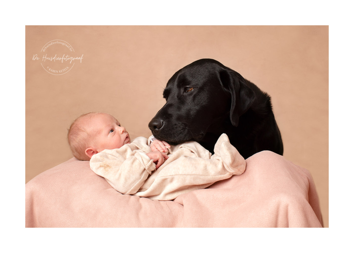 Portret van een labrador met een 9 dagen oude baby door De Huisdierfotograaf